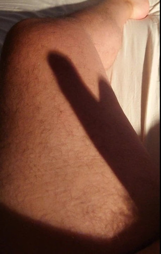 Shadow puppet