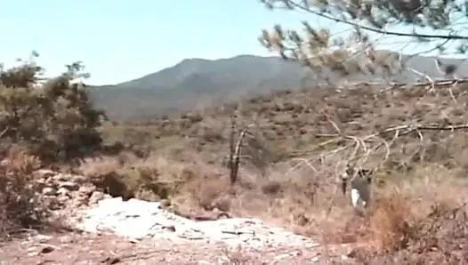 Big Omar's British Adventures Rump Humping Holidays (2001)