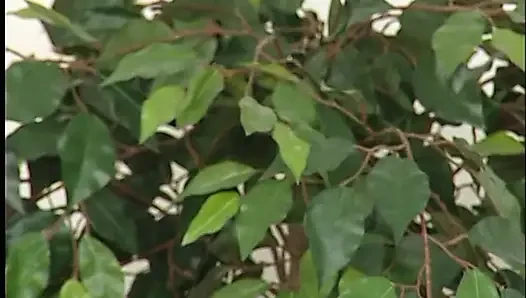 Edepsiz kızlarla amatör grup seks