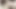 New video 2024-01-29 15:40:44