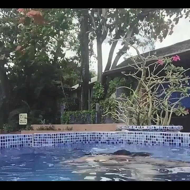 Spring Time Is Here so That Means Summer Is Around the Corner