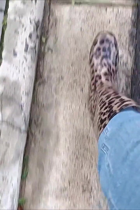 Long Walk in Gumboots by Kinkylyrical