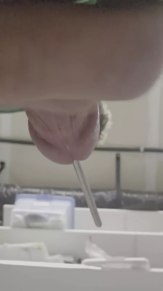 Sounding hard cock and cumming
