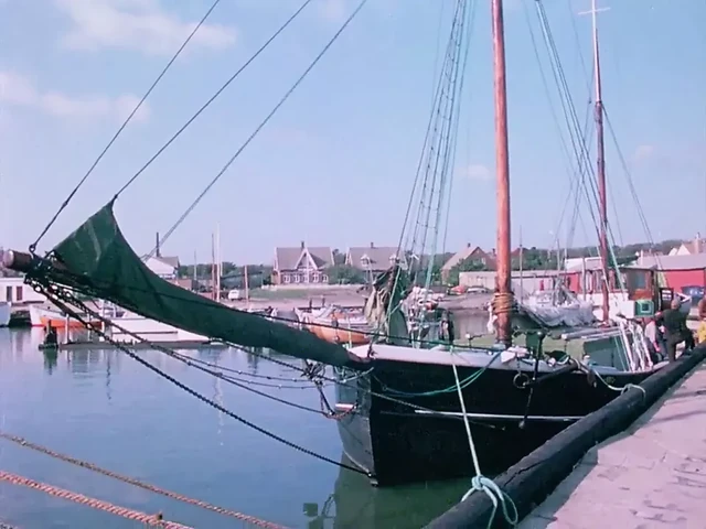 HD VIDEO 58