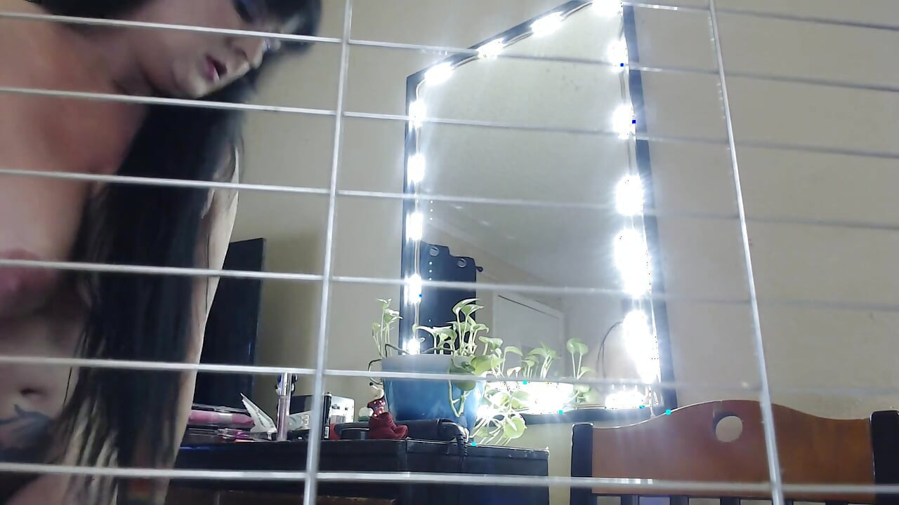 In Cage geschrumpft