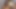 Pakistani Indian bengali slags tiktok
