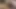 Accidentally Cum Inside Hairy Blonde Pussy