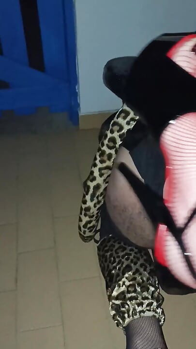 Fuck My Cat