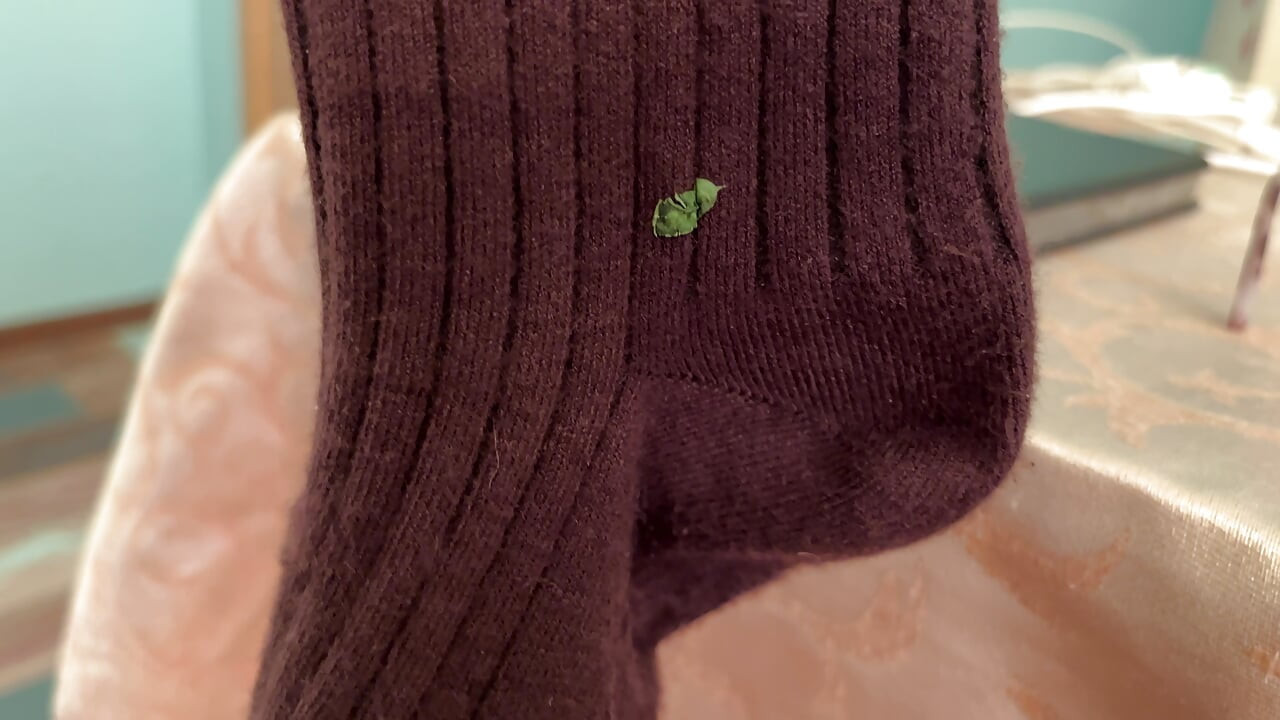 Earl Smile Dark Brown Ribbed Socks Fetish - Bedroom Solo