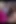Stacy Cruz Sneaks Into Lovita Fate's Home