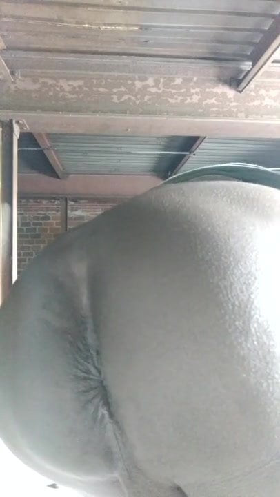 My Masculine Asshole