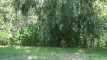 Pratinjau video