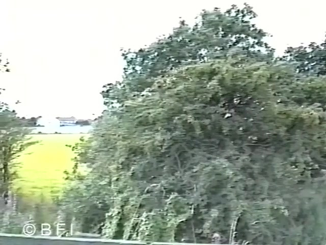 A sound of the whipping