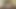BOLSONARO PORN PARODY