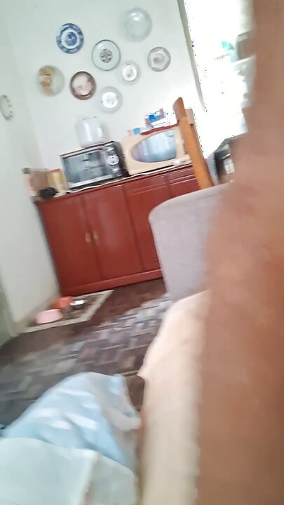 ليدي سيلفا الديك الصلب مليء بالقرنية