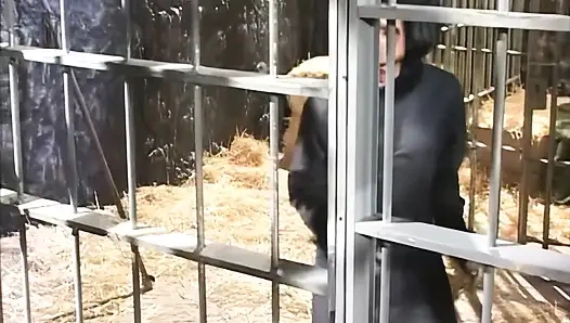 Tahanan pantatmu yang beludru