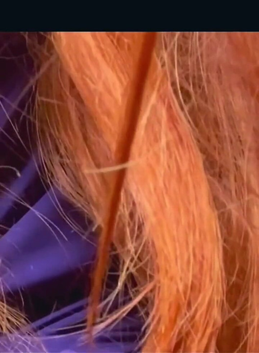 Videos of Daphne From Scooby Doo Showing Her Tits Behind Fred’s Back
