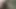 Desi Long Thick 9 Inch Cock Oral Sex