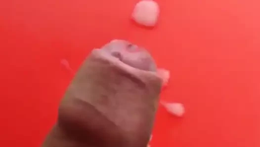 Cook