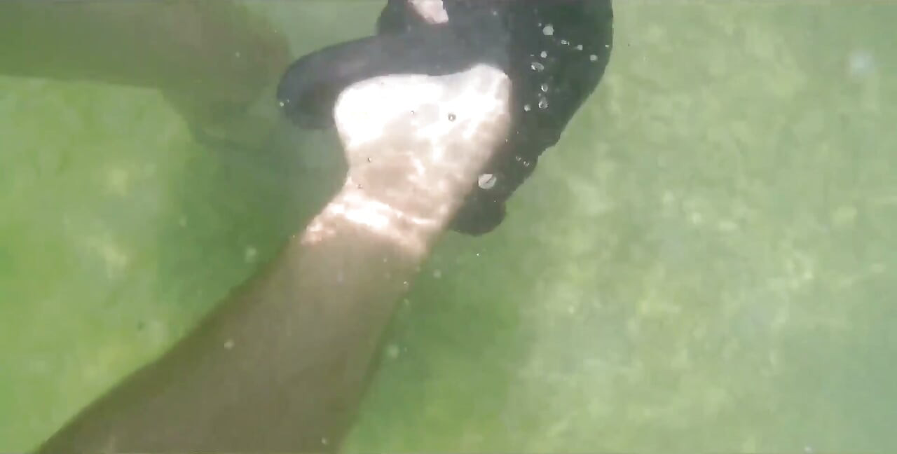 Wife Beach Vacation Sex and Suck Cock Twice