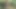 Gadis gemuk desi telanjang di hutan
