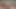 Big Solo Cumshot - masturbating my cock - Quicky
