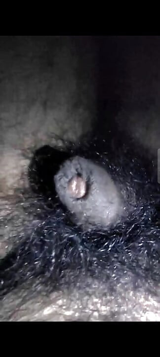 My dick is hungry for pussy