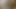 Chatting and Wanking With a Few Days Load