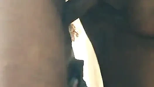 Düğün işlevi performans videoları