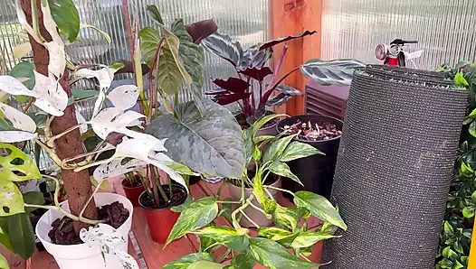 Spring Greenhouse Tour