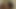 LittleVaginaMouth riding MrBossstepDaddy large cock