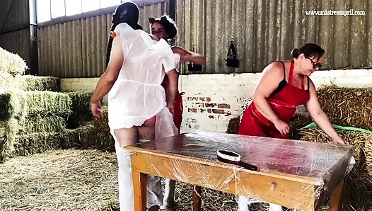 Domina herrin april - nur medizinische experimente aus der melk scheune