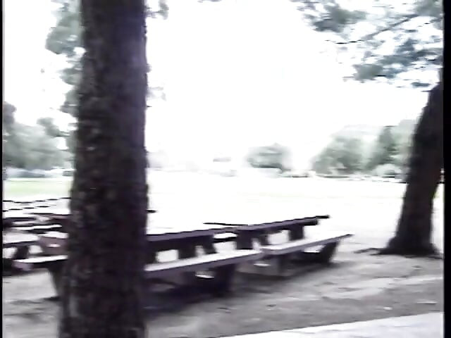 Blonde tranny with rock hard tits gets nailed on a desk