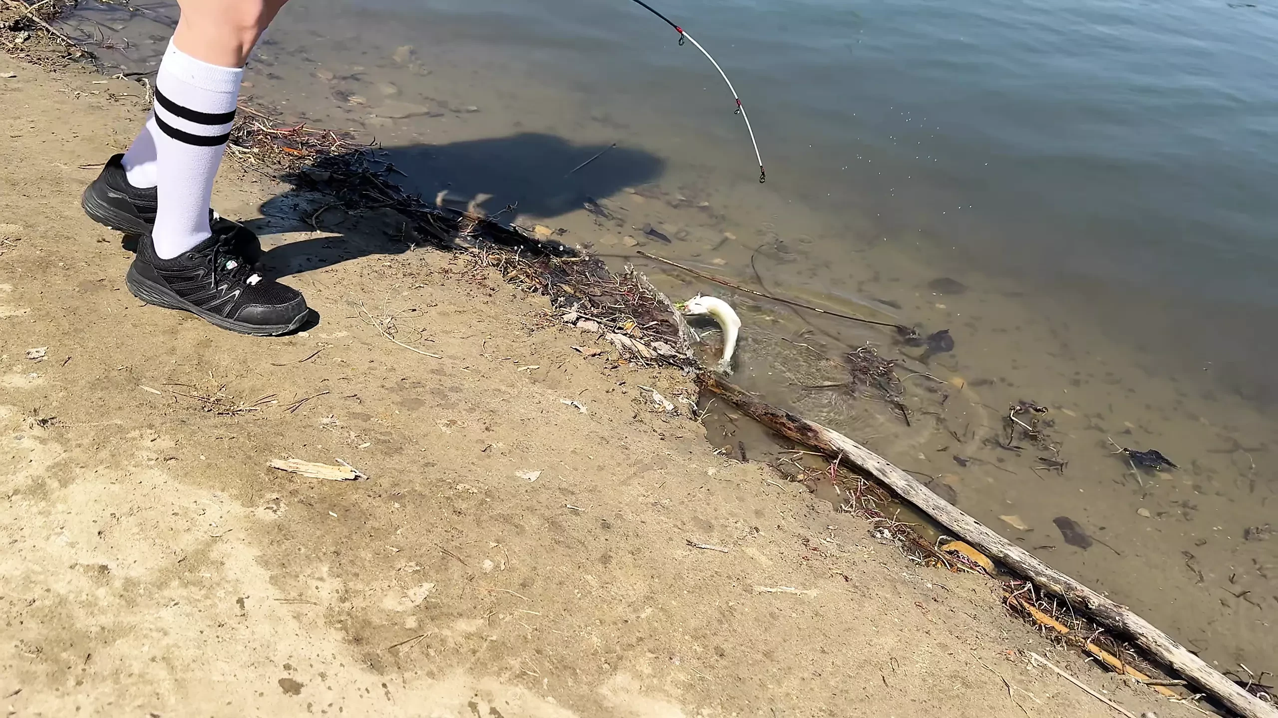 Tineri studenți au mers la pescuit după școală