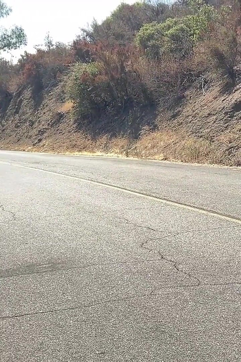 Biphoria - Hot Latin Gay Couple Smashes Hitchhiking Slut