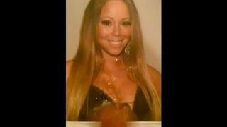 Schöne Mariah Carey-Gesichtsbesamung