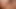 At kuyruklu büyük baştankara esmer fotoğrafçı oynamasına izin veriyor