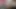 BBW Slut Sucks a Big Dick