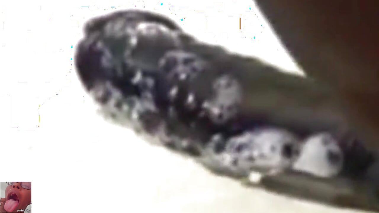 Najbolje CIM pušenje ikad