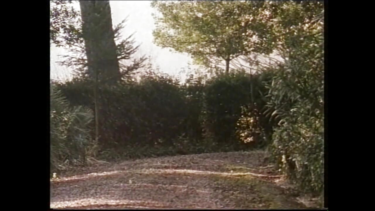 Betty Blu (teljes film)