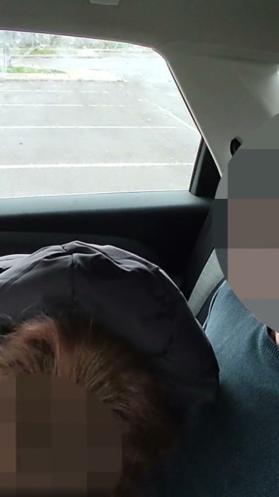 Dick flash - Teacher caught student jerking off in the car and help me cum - MissCreamy | Clip 1