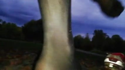 Nailon 109