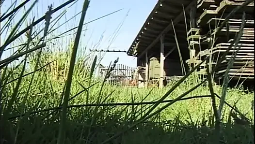Vahşi amcık binicileri daha fazlasını alabilene kadar sert yarak sikişmeyi seviyor