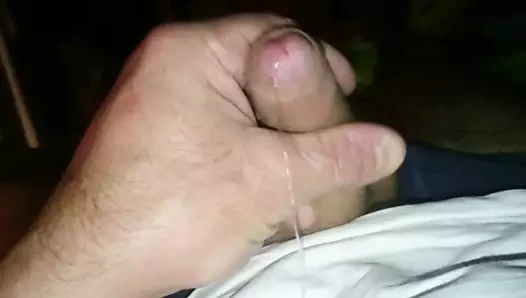 Mein vorsaft