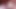lanet bir sıkı redhead KEDİ