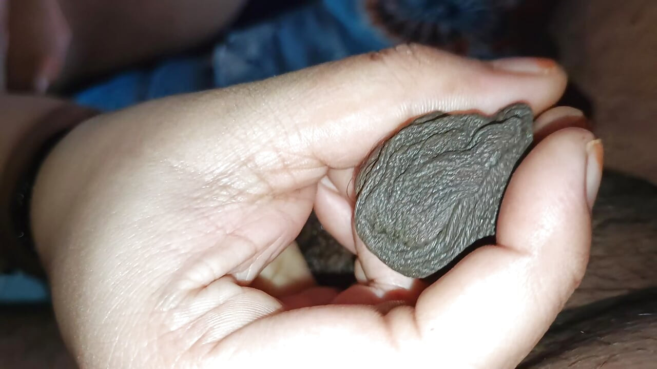 Dekh mere naariyal ki lambi jataa