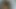 Lesbian teens sucking each other pussy in 69