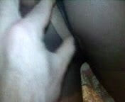 Collant