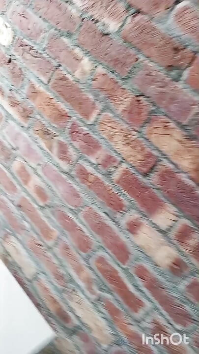 Pakistan viral video Pakistani TikTok star viral sexy video