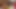 彼女と屋外でセックスを楽しむ
